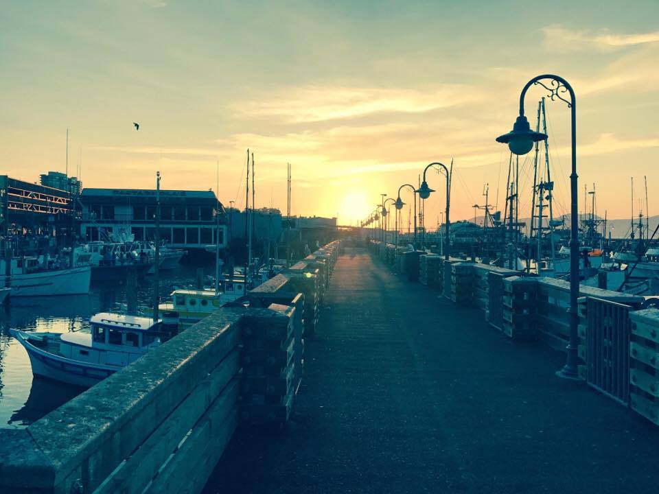 22291883_10159484750065626_2113643994_n