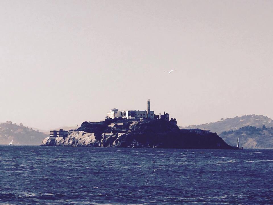 22330688_10159484742855626_16155783_n