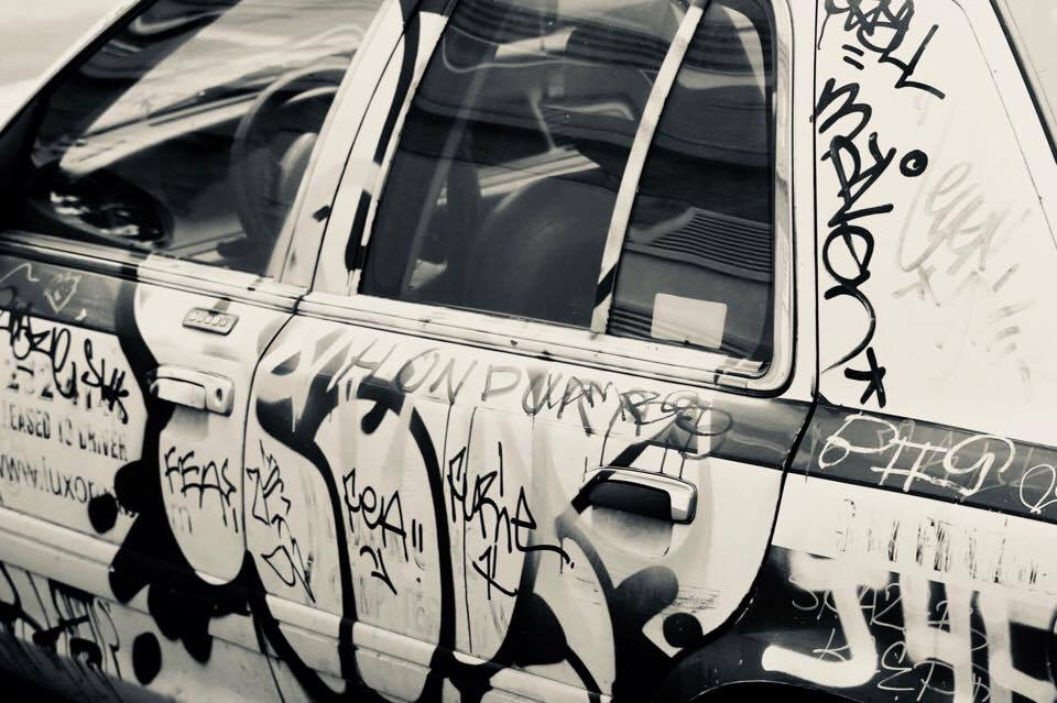 23318595_10159610249790626_374900831_n